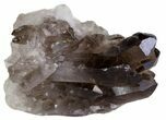 Smoky Quartz Crystal Cluster - Brazil #61461-1